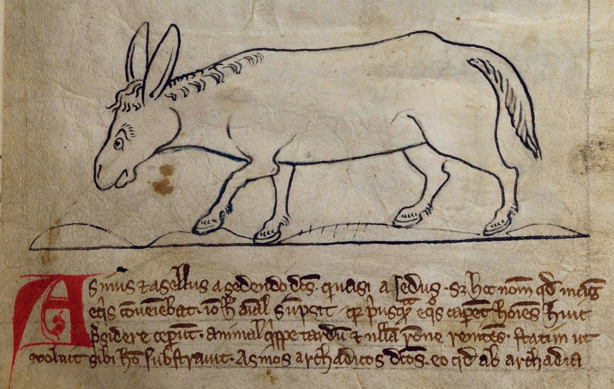 Lit-CCA - D - 10 fol. 10r Ass, de Bestiário de English School