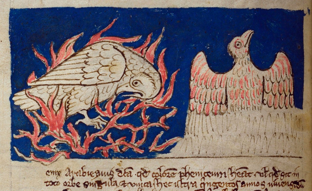 Lit-CCA - D - 10 fol. 17v Pheonix, de Bestiary de English School