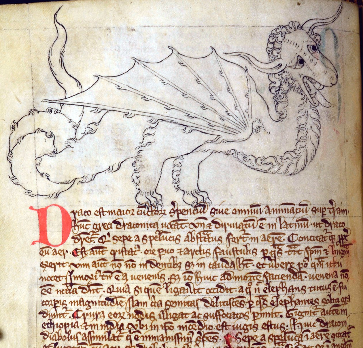 CCA-LitMs - D - 10 fol. 24v Dragon, do Bestiário de English School