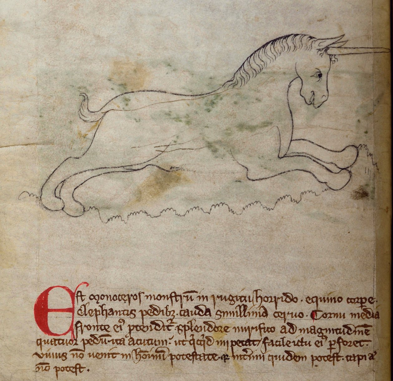 CCA-LitMs - D - 10 fol. 2v Monoceros, do Bestiário de English School