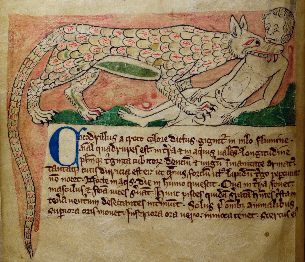 Lit-CCA - D - 10 fol. 3v Crocodilo, de Bestiário de English School
