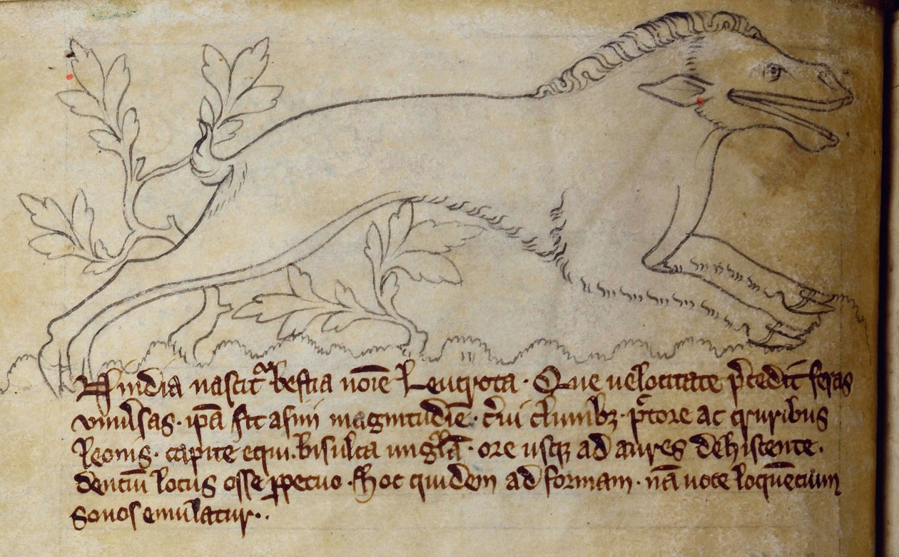 CCA-LitMs - D - 10 fol. 3v Leucrota, do Bestiário de English School