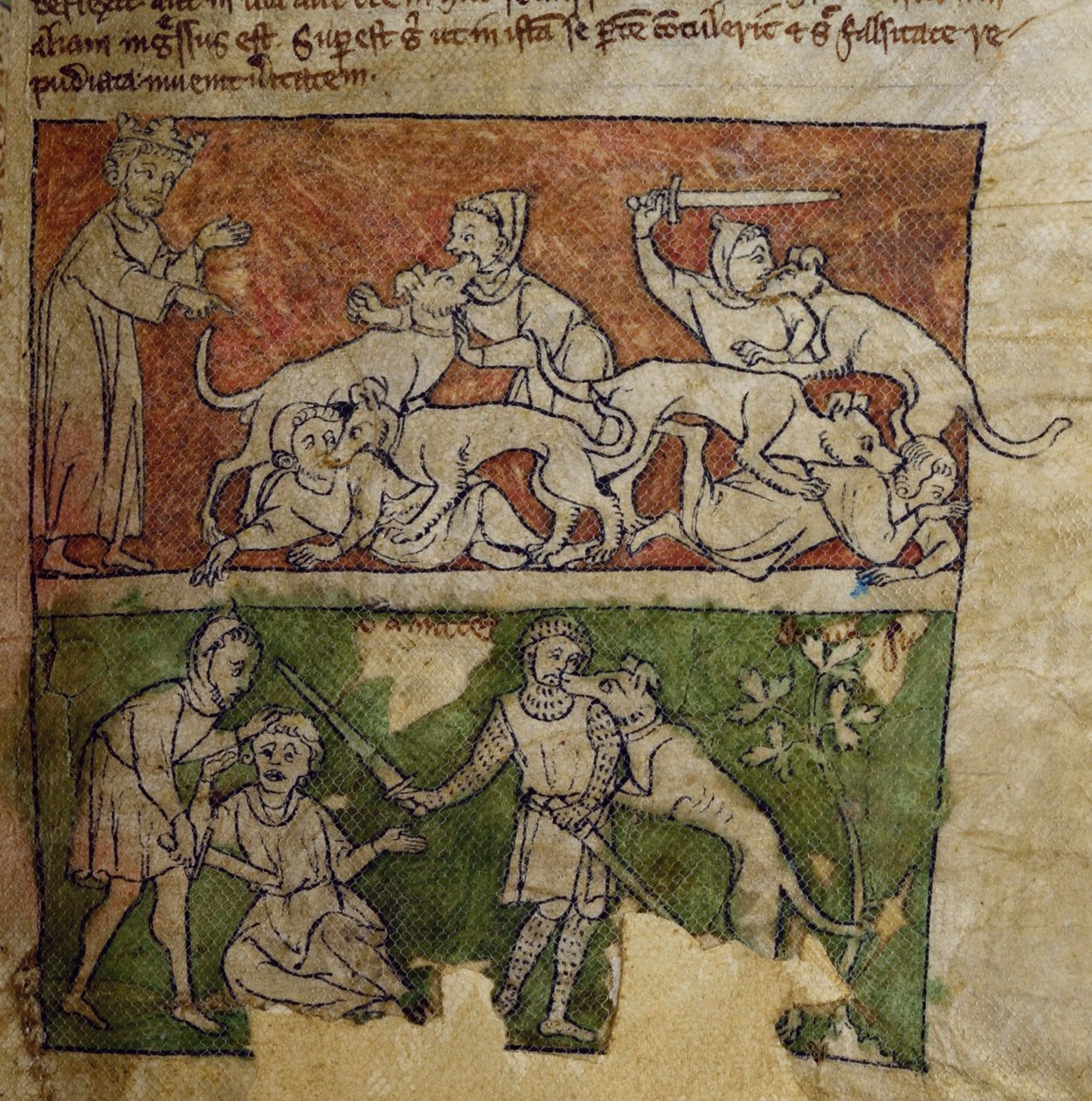CCA-LitMs - D - 10 fol. 6r Dog, do Bestiário de English School