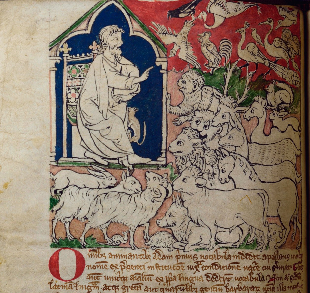 CCA-LitMs - D - 10 fol. 7v Adam, do Bestiário de English School