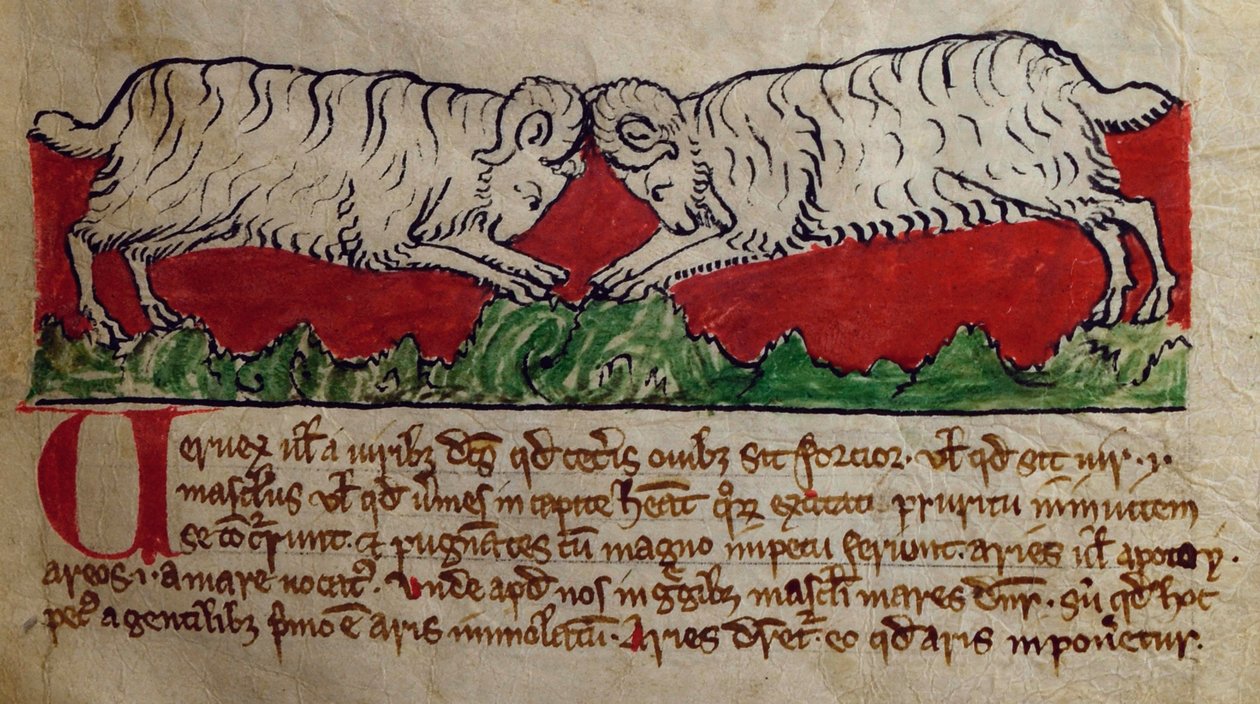 Lit-CCA - D - 10 fol. 8r Wether, de Bestiary de English School