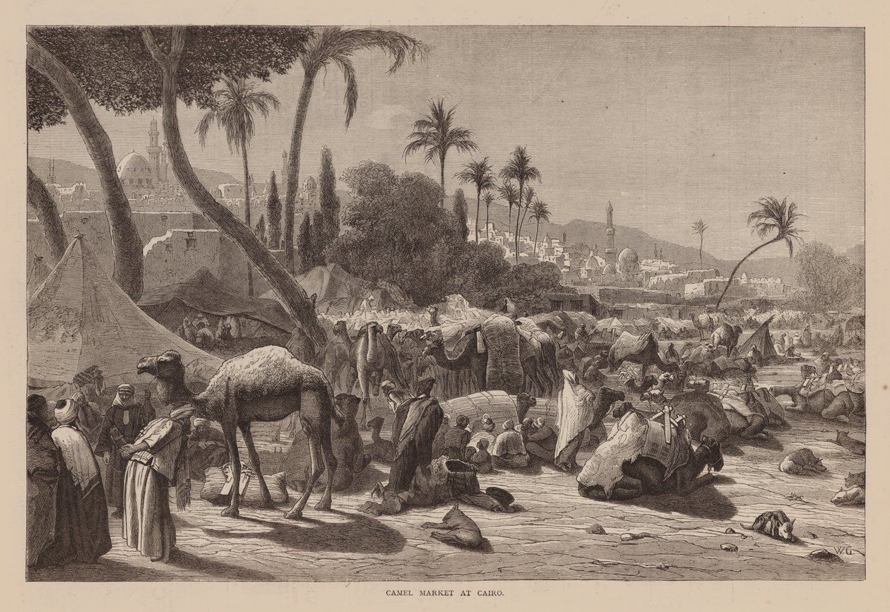 Mercado de camelos no Cairo (gravura) de English School