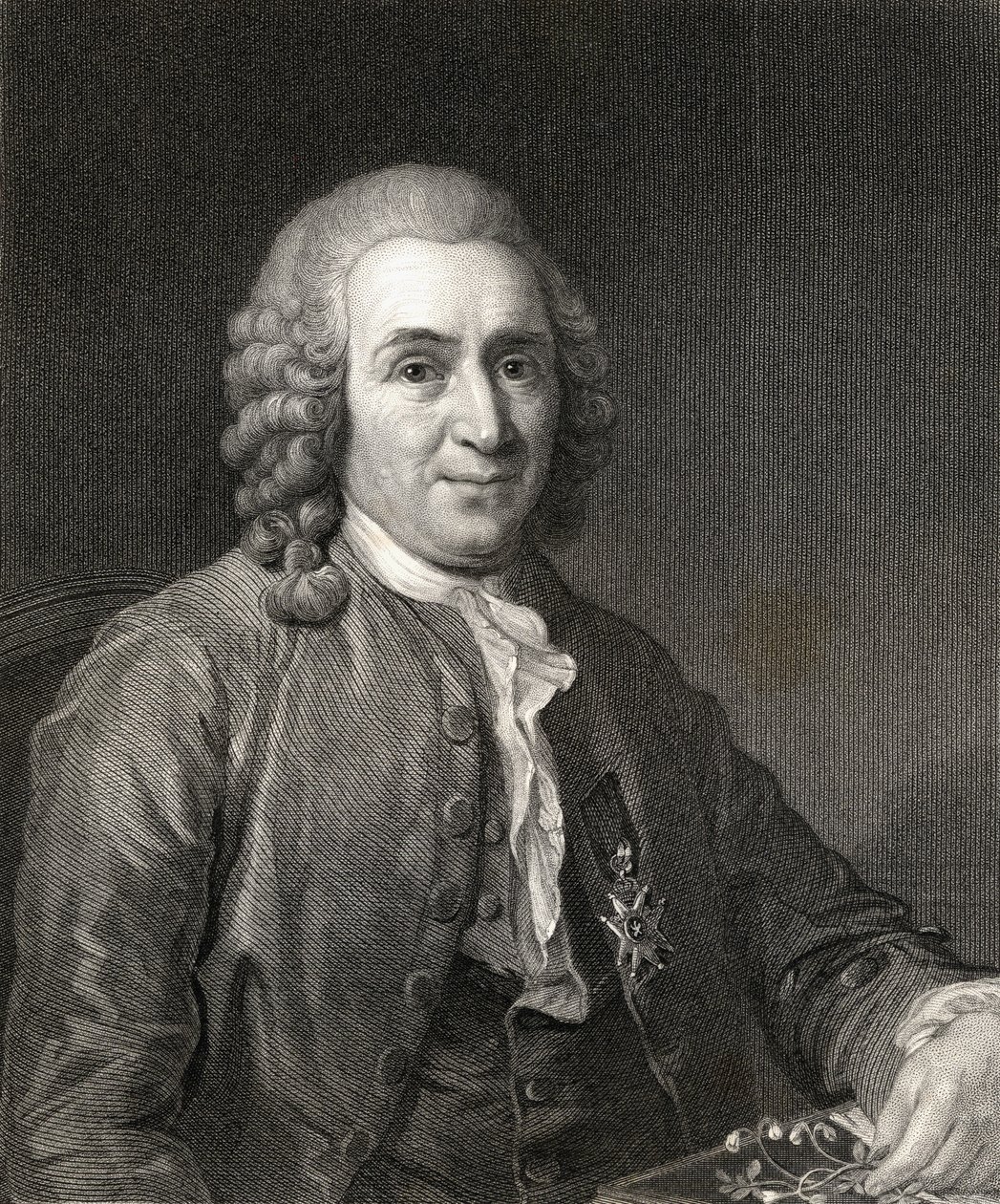 Carl von Linne ou Linnaeus (1707-78) da Gallery of Portraits, publicado em 1833 de English School