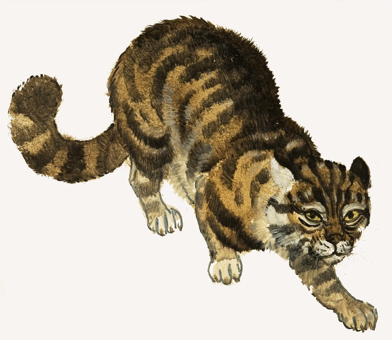 Gato de English School