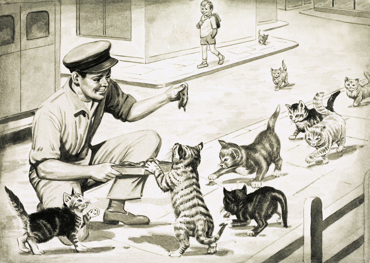 Os gatos vêm cumprimentar o homem da carne do gato de English School
