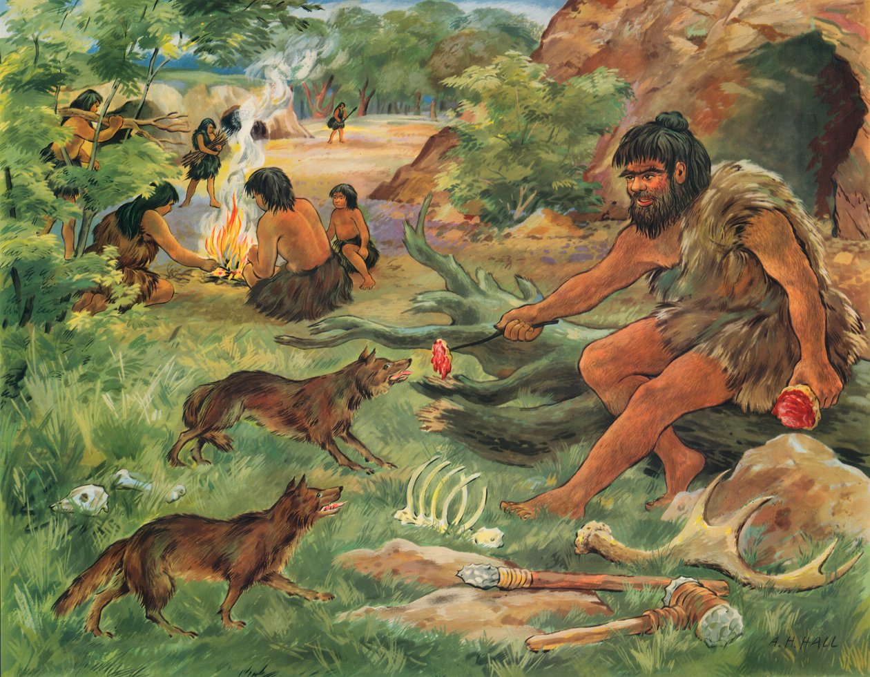Homem das cavernas a fazer amizade com um lobo jovem (litografia a cores) de English School