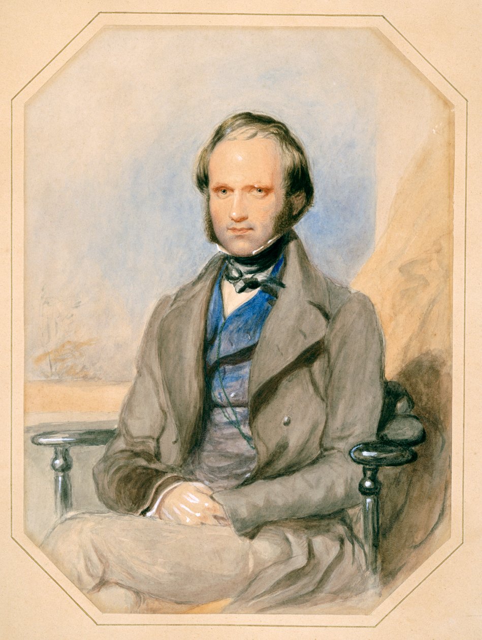 Charles Darwin (aguarela sobre papel) de English School