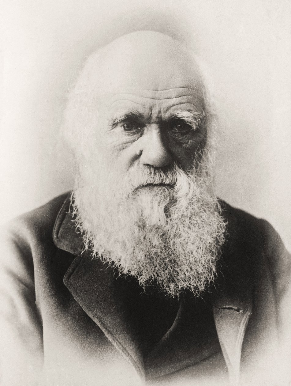 Charles Darwin de English School