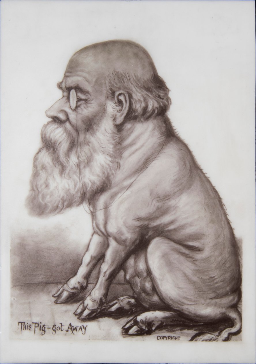 Placa de Charles Darwin, c.1870 (cerâmica) de English School