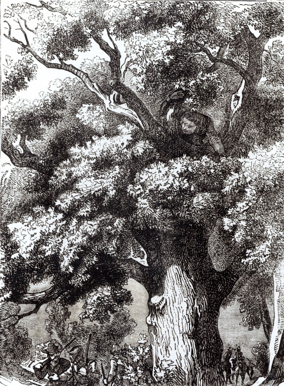 Charles II (1630-85), escondido no carvalho, 14 de outubro de 1651 de English School