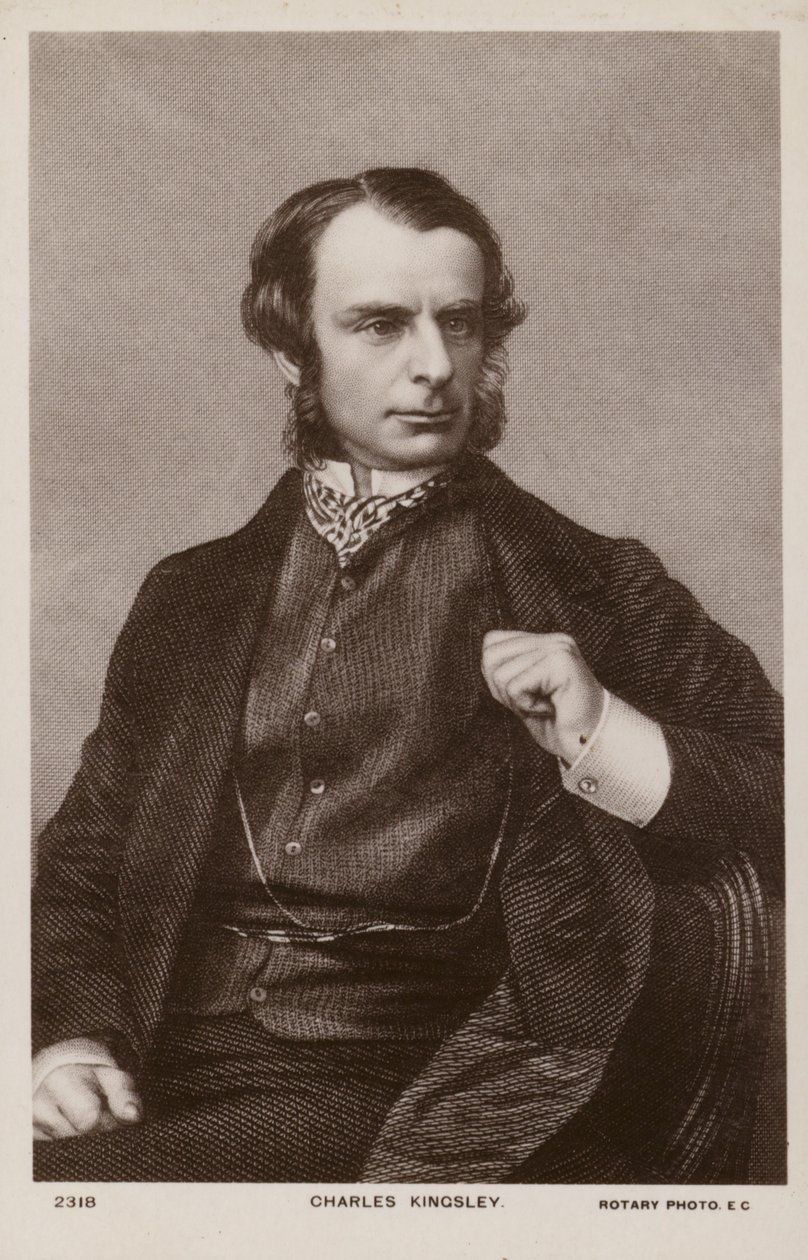 Charles Kingsley (1819-1875), clérigo, historiador e romancista inglês (litografia) de English School