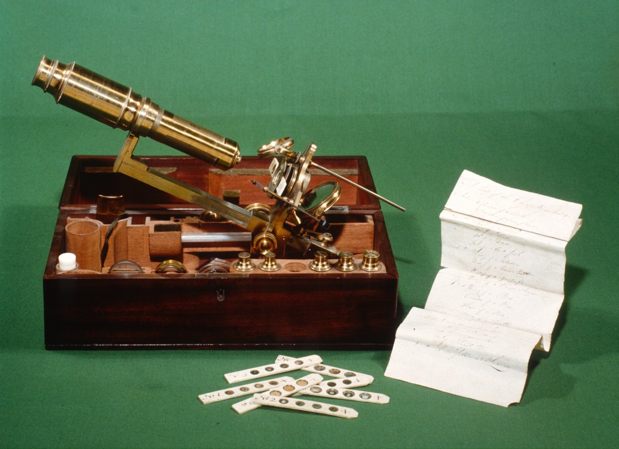 Microscópio de tórax, com seleção de controles deslizantes de marfim e lista, c.1800 de English School