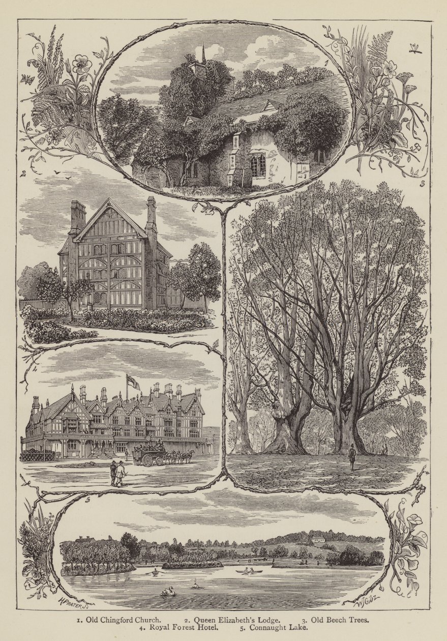 Chingford (gravura) de English School