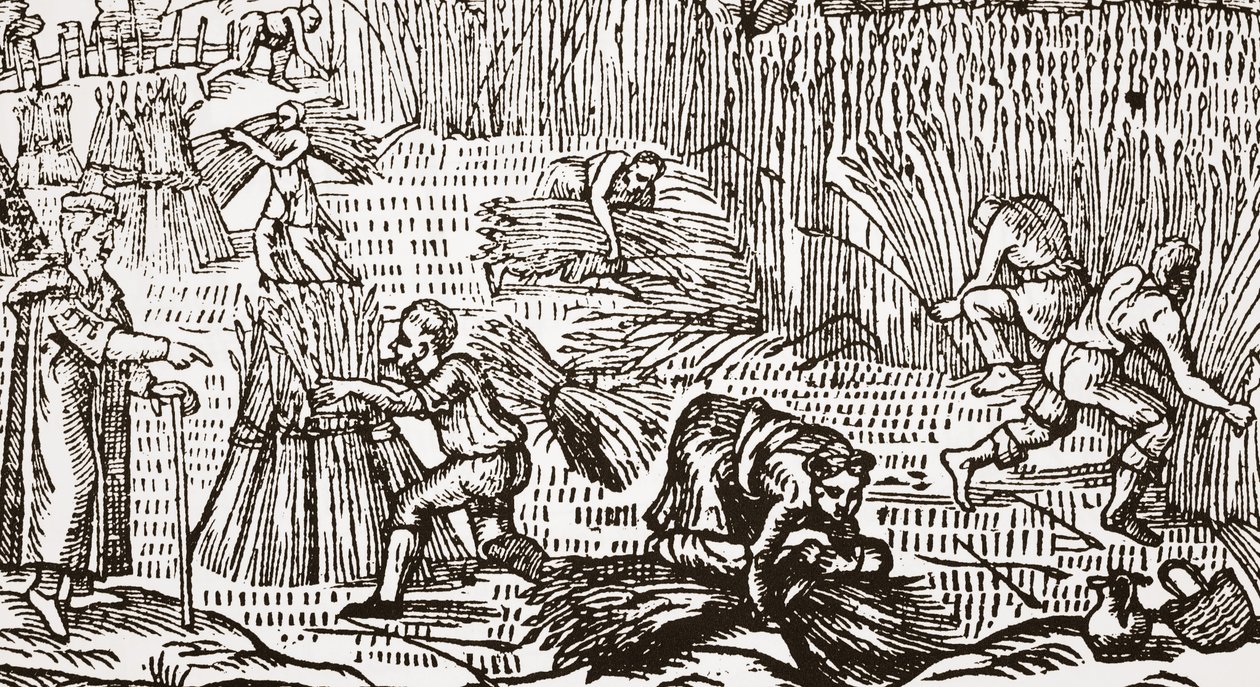 Xilogravura contemporânea, mostrando a colheita de English School