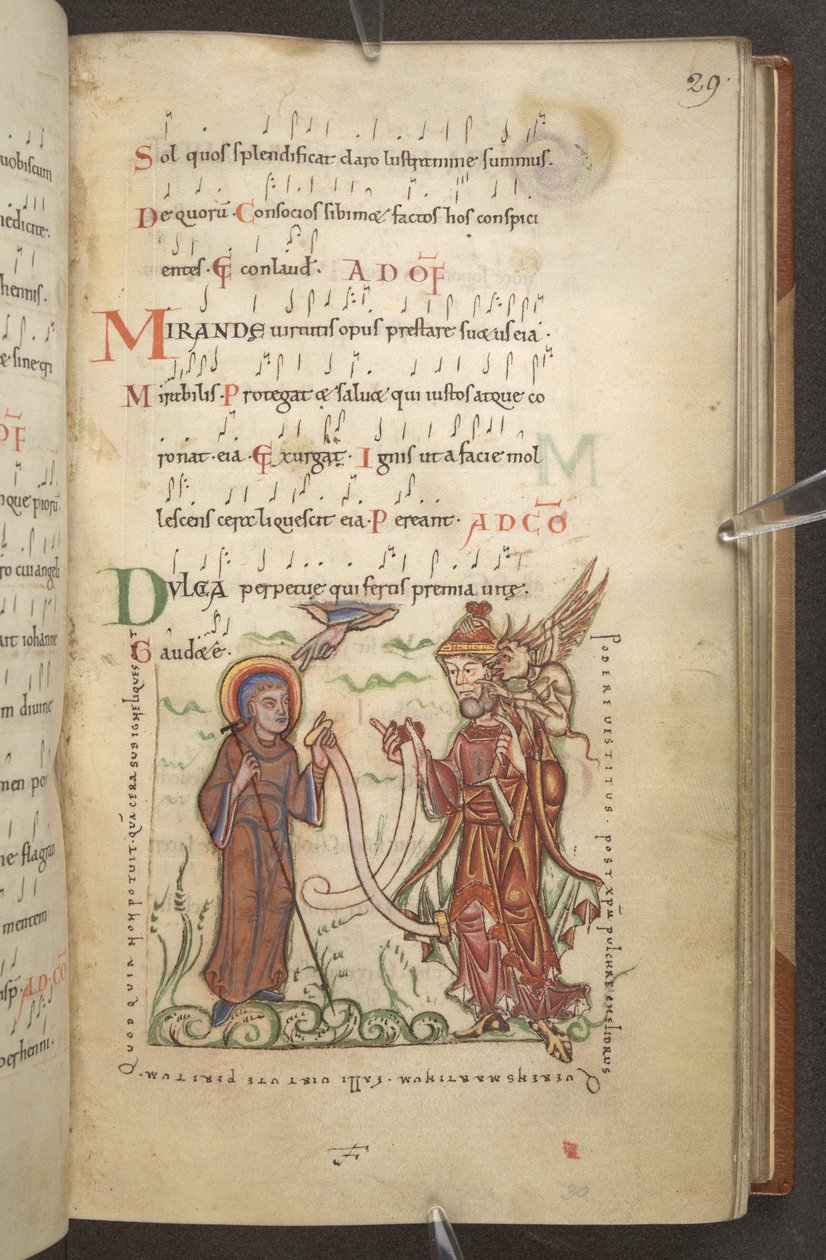 Algodão EM Calígula A XIV de English School