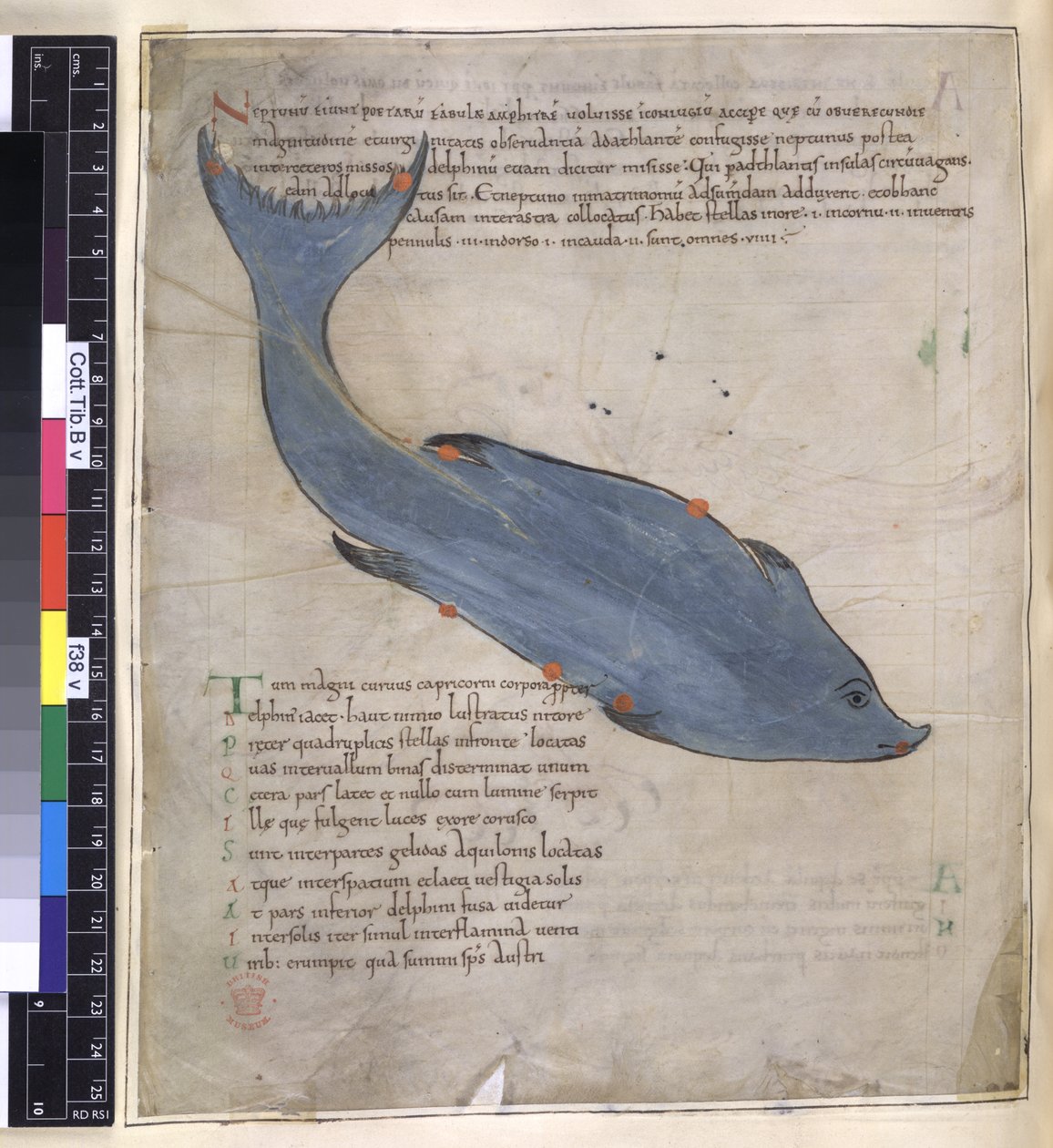 Cotton Tiberius B. V, Parte I fol.38v A constelação de Delphinus de 