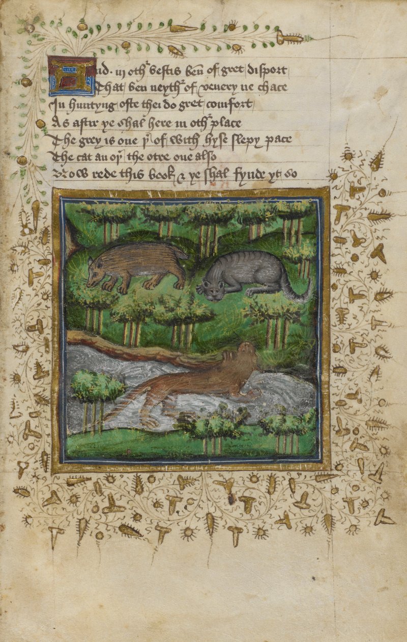 Algodão Vespasiano B. XII, f.4 Ilustração de um texugo, gato selvagem e lontra; com verso, de um "Tratado de Caça", de William Twety e John Gyfford, c.1440 (vellum) de English School