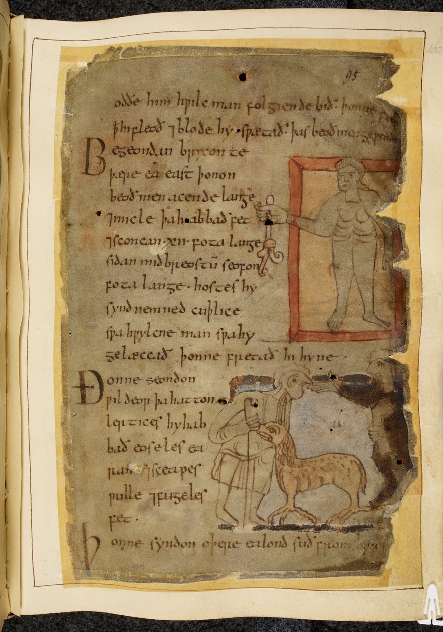 Cotton Vitellius A. XV, f.102, Um homem nu segurando uma planta; dois homens conversando, e entre eles um lertix, um animal parecido com uma ovelha, ilustração de Beowulf, do 