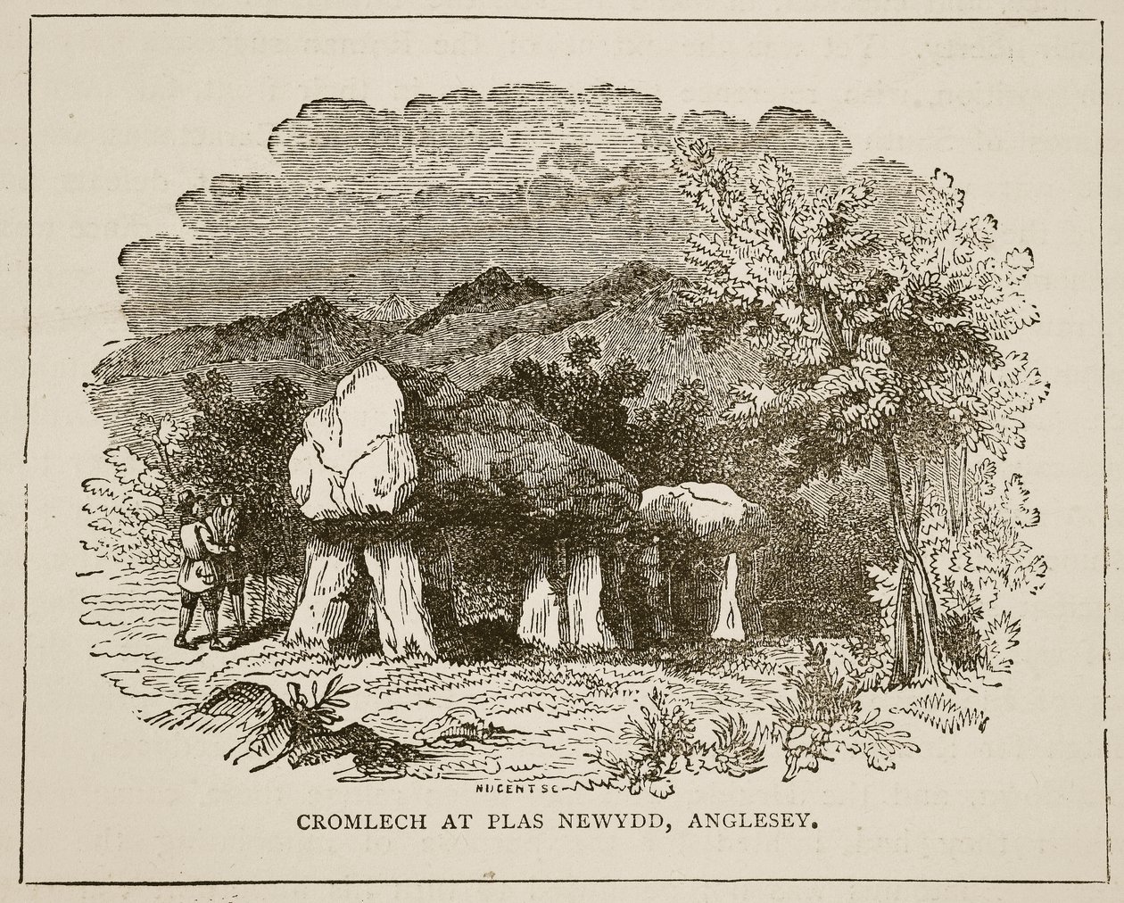 Cromeleque para Plas Newydd, Anglesey de English School