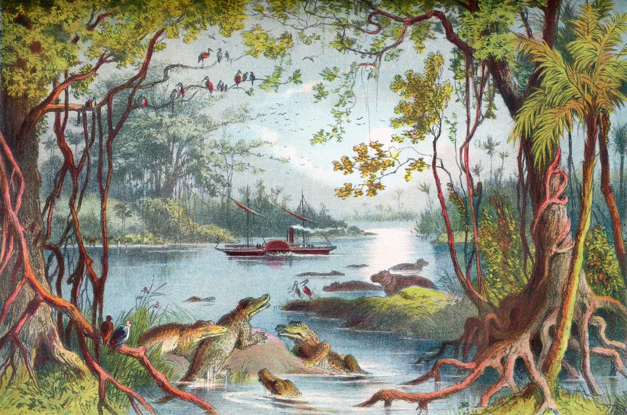 O navio de David Livingstone O Ma-Robert no rio Zambeze, África, durante a sua Expedição do Zambeze no século XIX. De The Life and Explorations of Dr. Livingstone publicado c.1875. de English School