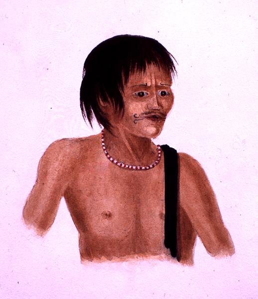 Demerara (aguarela sobre papel) de English School