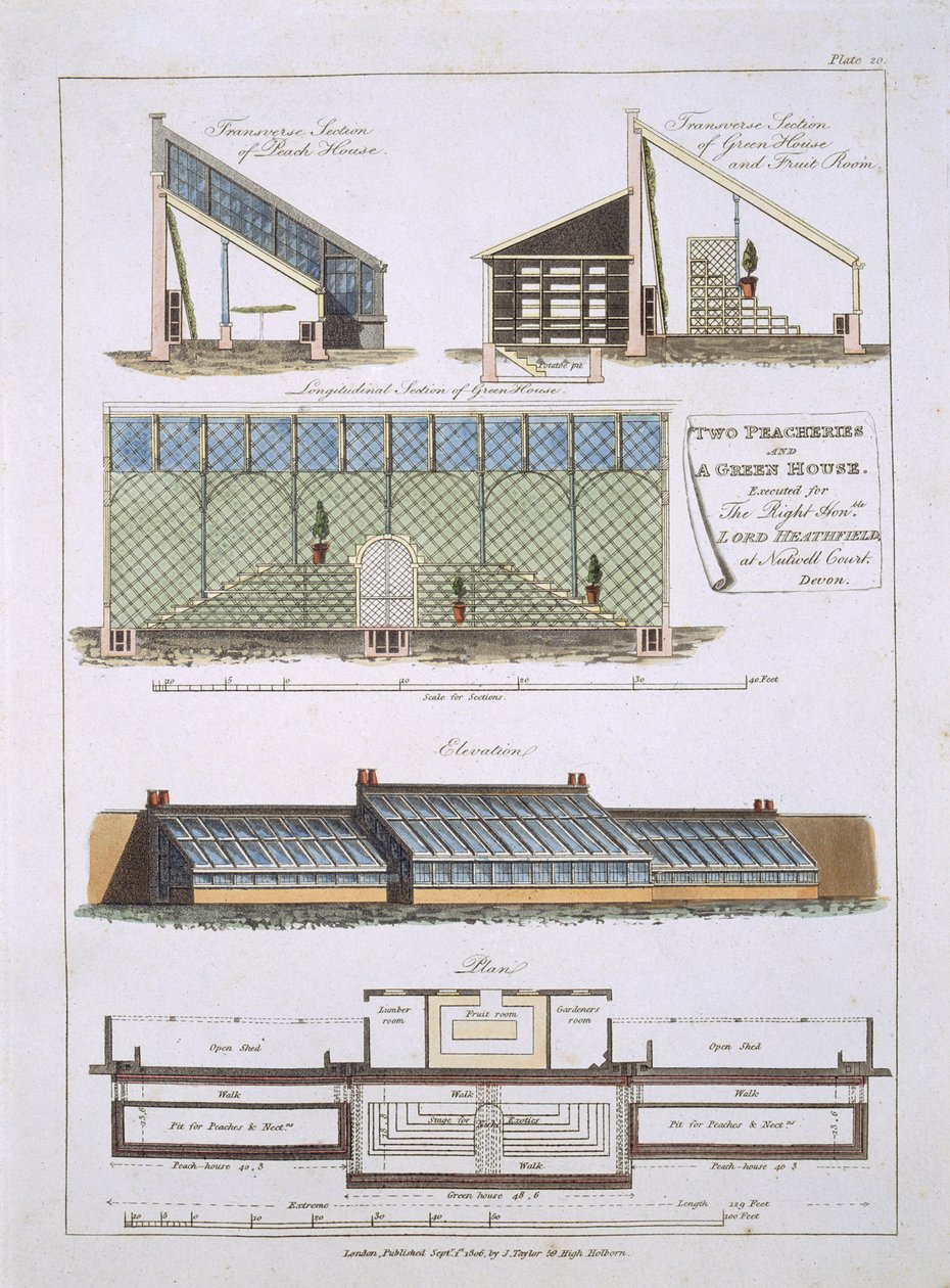 Design para dois peacheries e uma casa verde, 1806 de English School
