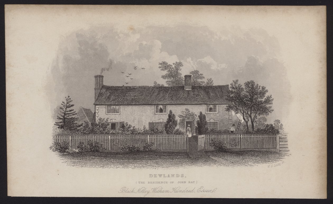 Dewlands, a residência de John Ray, Black Notley, Witham Hundred, Essex (gravura) de English School