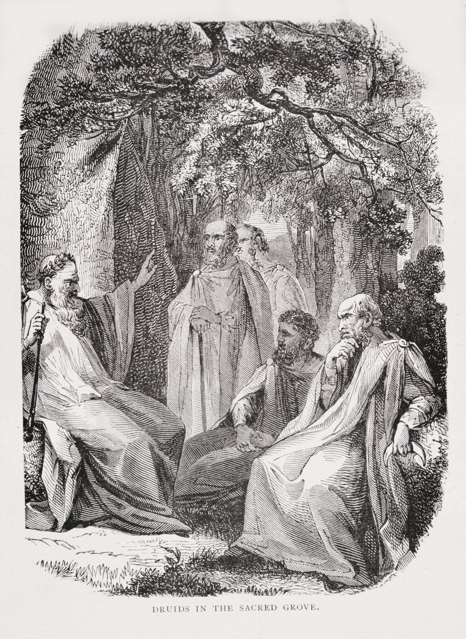 Druidas no Bosque Sagrado, de A História da França, de Emile de Bonnechose, publicado pela Ward, Lock and Co, Londres de English School