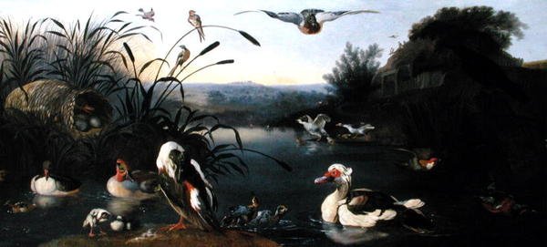 Patos sobre um lago (óleo sobre tela) de English School