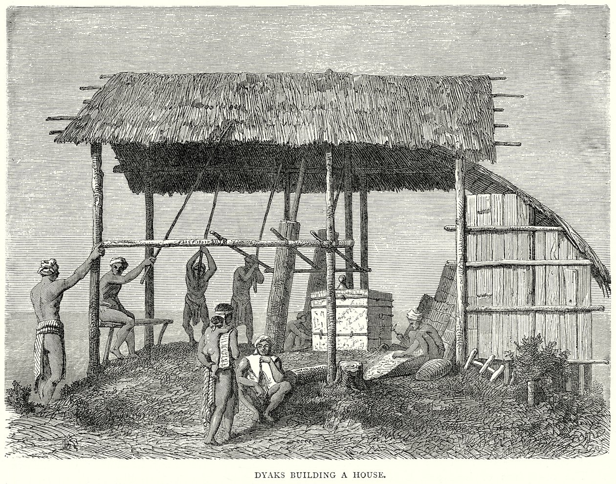 Iaques construindo uma casa (gravura) de English School