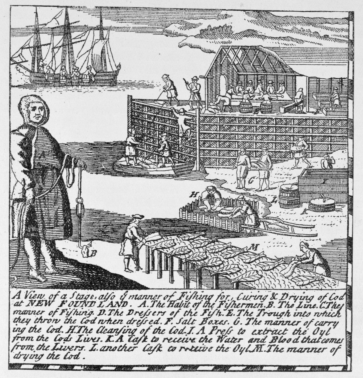 Estágios de Pesca Antecipada, ilustração do Volume IV da &39;História Narrativa e Crítica da América&39;, 1886 de English School