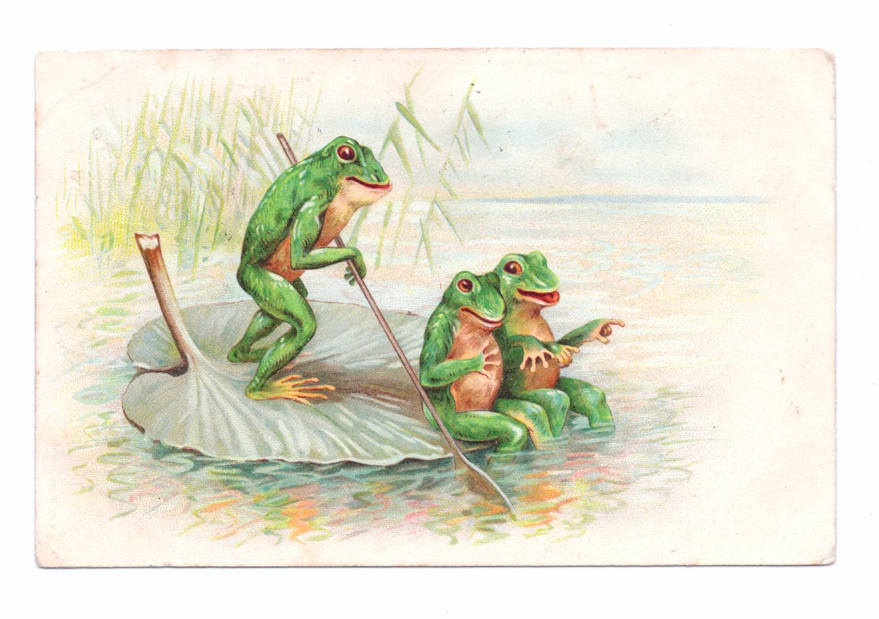 Postal eduardiano de dois sapos sentados num barco de nenúfares enquanto um terceiro rema, c.1910 (litografia a cores) de English School