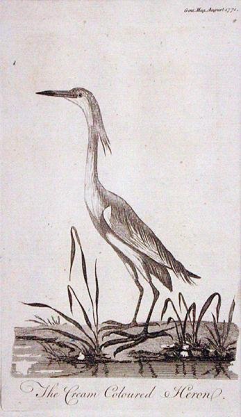 Egret, da 