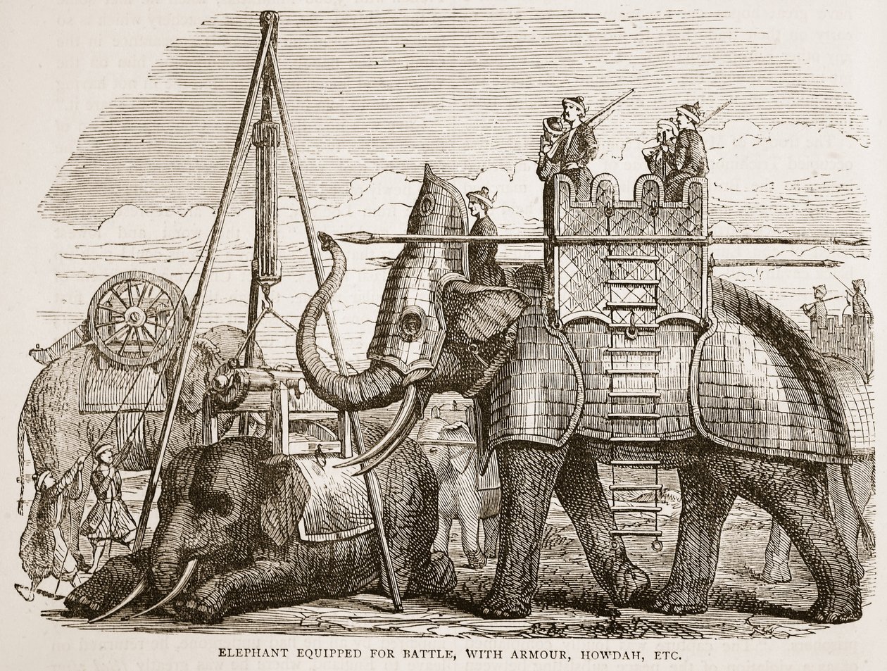 Elefante equipado para a batalha, com a armadura, o howdah, etc., ilustração da história ilustrada Cassells da Índia por James Grant, bar. 1879 de English School