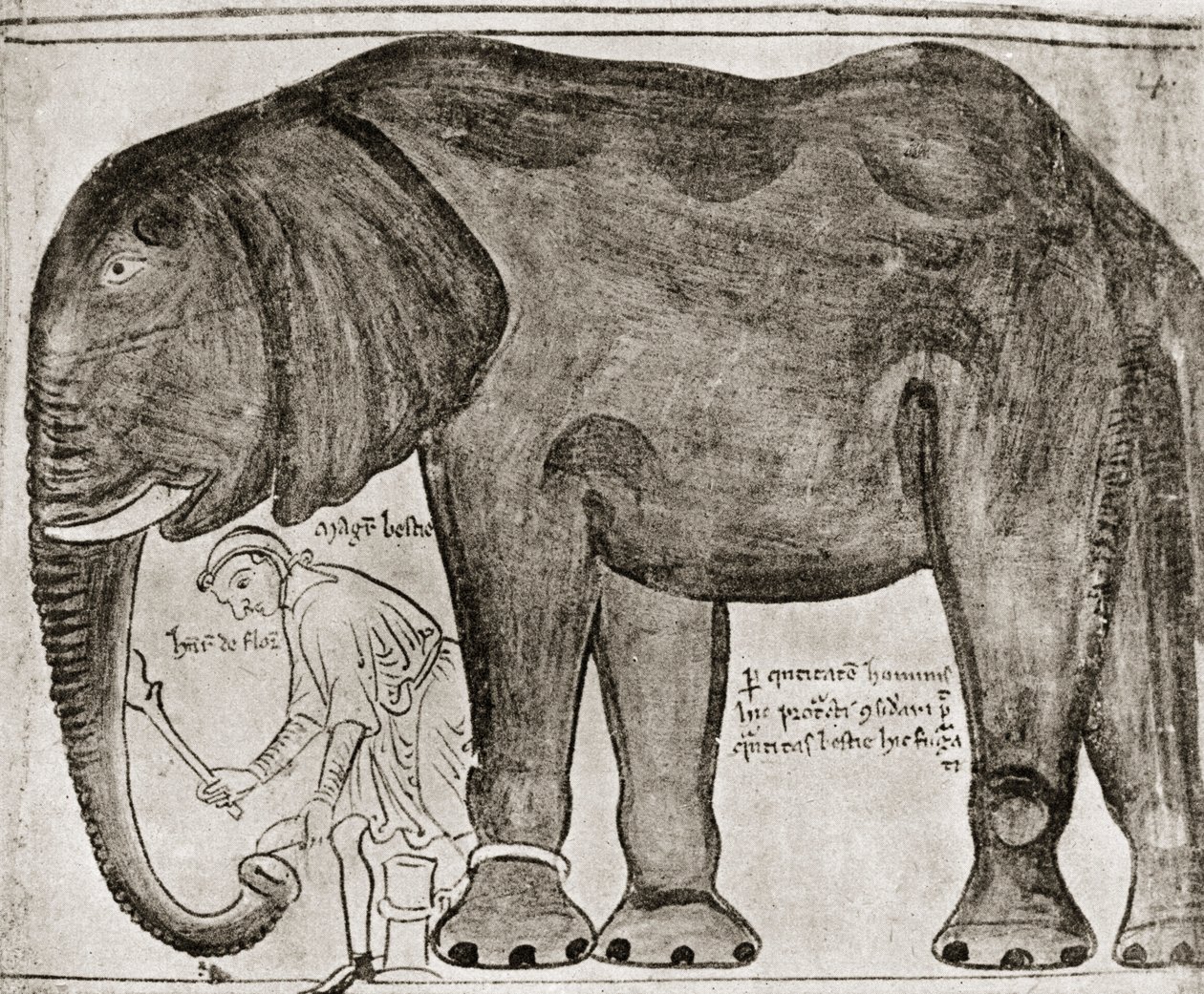 Elefante enviado por São Luís a Henrique III, da "Historia Major", reproduzido em "English Historians de English School