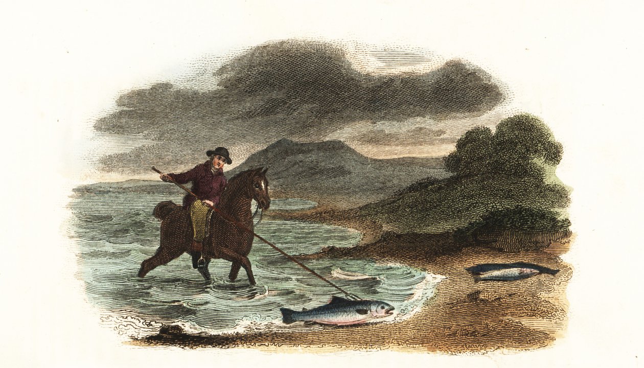 Pescador inglês Graham caçando salmão nos baixios montados a cavalo com uma lança de 3 metros de comprimento e 5 metros de English School