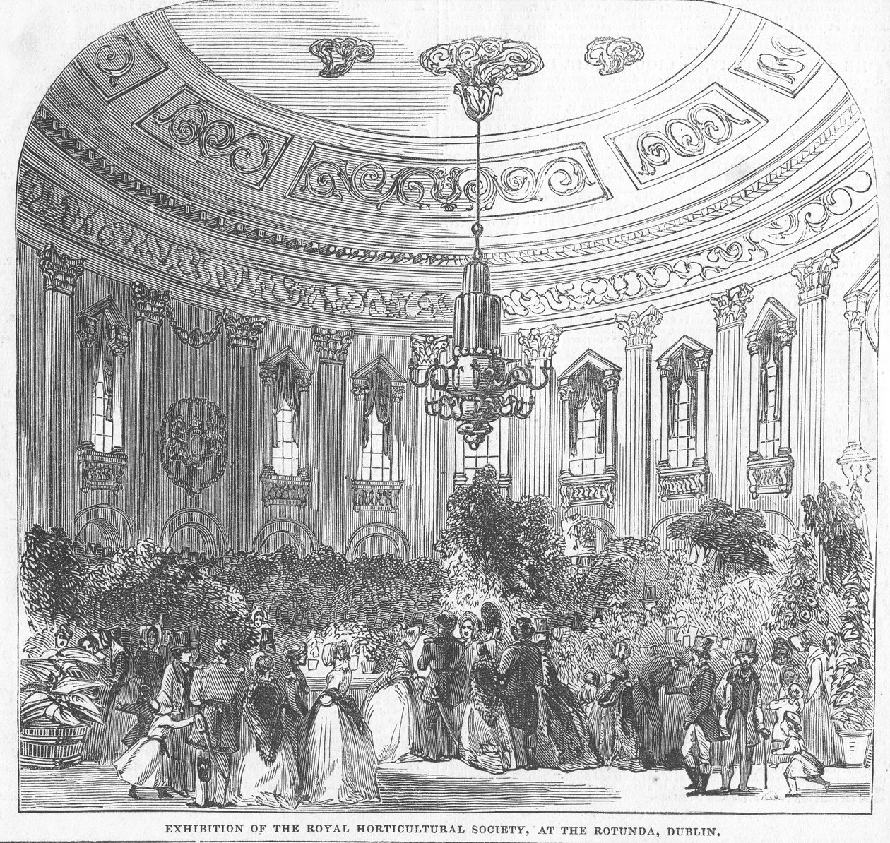Exposição da Royal Horticultural Society, na Rotunda, em Dublin, ilustração de "The Illustrated London News", 1854 de English School