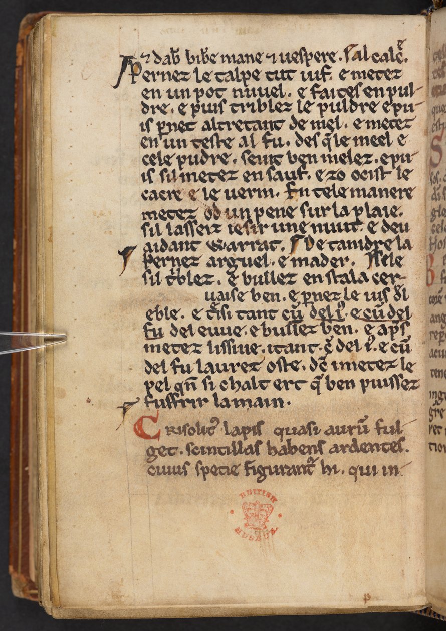 Extractos da Historia Anglorum de Henrique de Huntingdon, Cotton MS Titus D XXIV, f.132v (velino) de English School