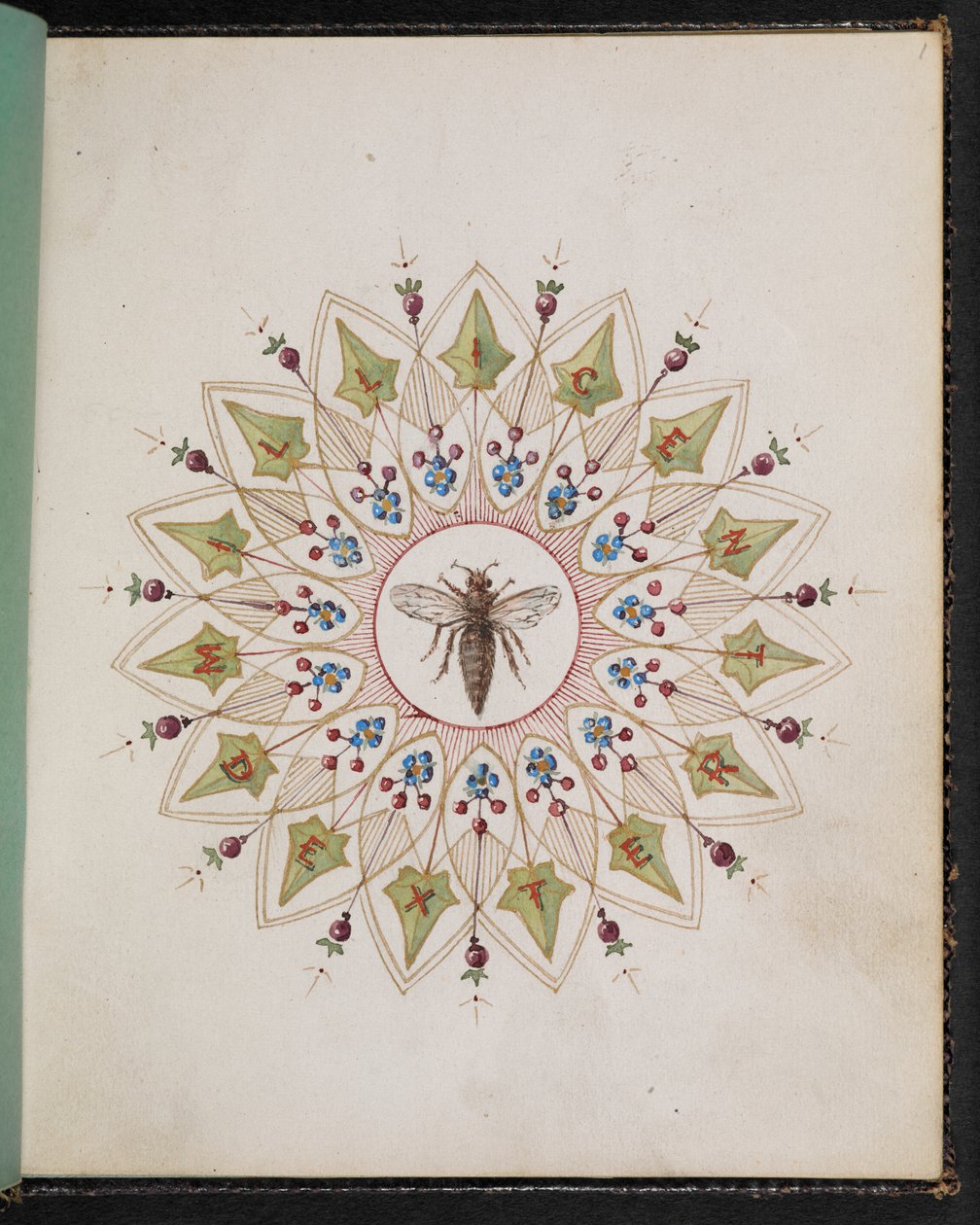 F.1: Inseto dentro de um desenho. Livro de esboço com cenas de histórias de Charles Dickens (aguarela sobre papel) de English School