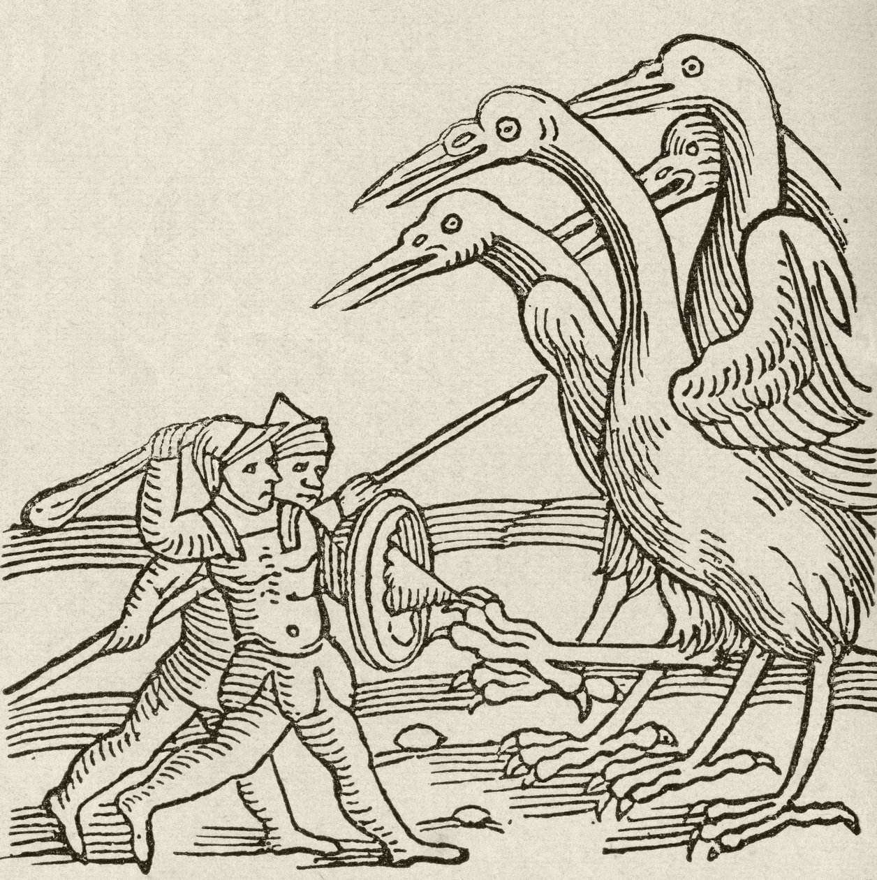 Luta entre pigmeus e grous. Uma história da mitologia grega. Da revista The Strand Magazine publicada em 1897. de English School