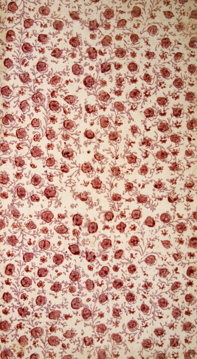 Papel Floral (gravura colorida à mão) de English School