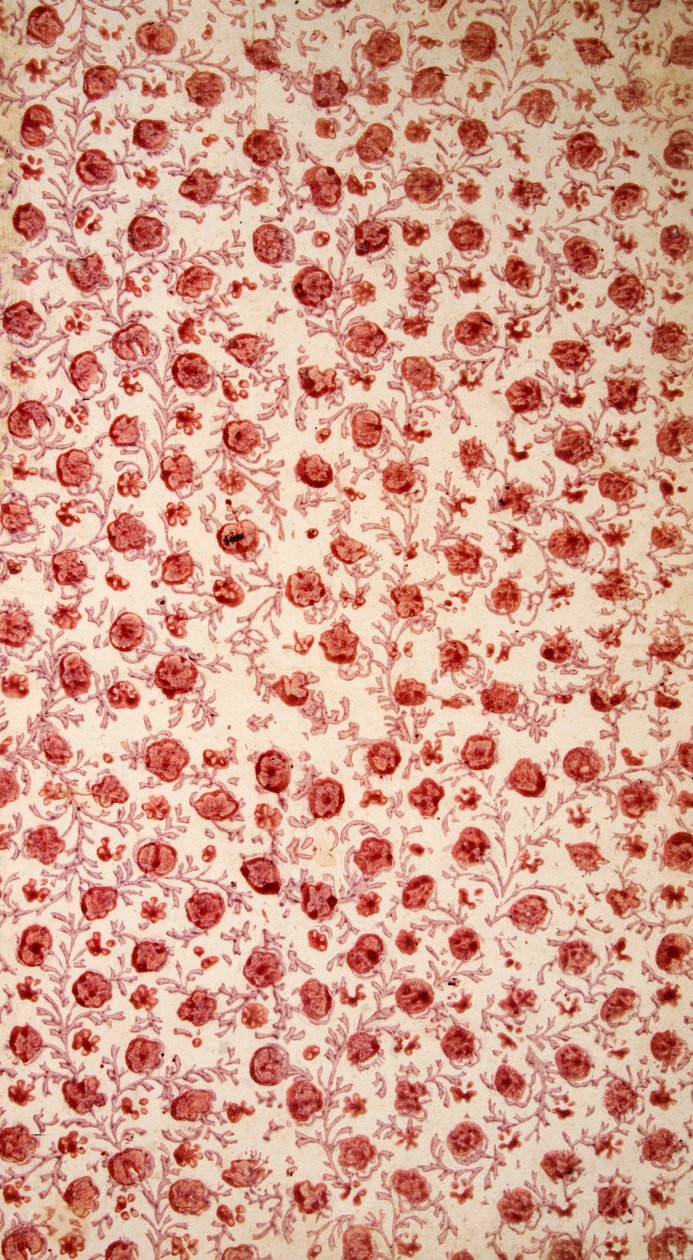 Gravura colorida à mão na folha de guarda floral. de English School