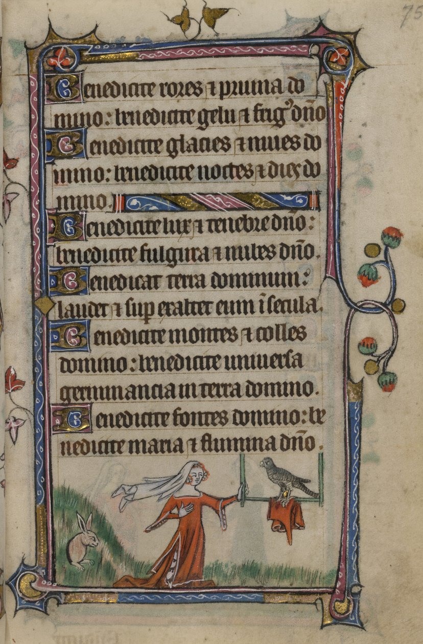 Folio 75 Ilustração do 