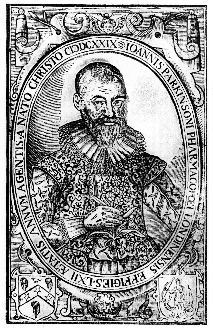 Frontispício de Paradisi em Sole Paradisus Terrestris por John Parkinson, publicado em 1629 de English School