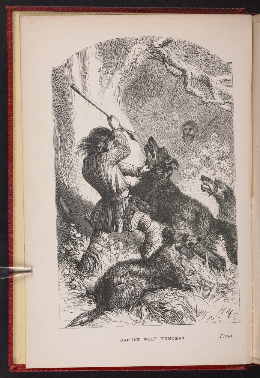 Frontispício de The British Wolf-Hunters. Um conto, etc., de Thomas Miller de English School