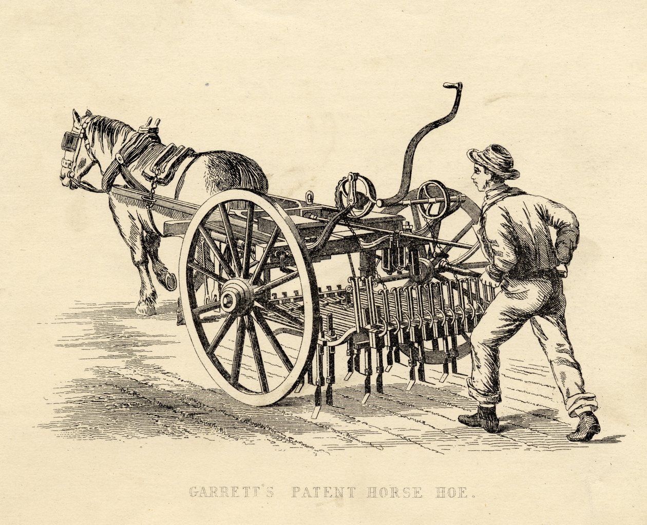 Garretts Patent Horse Hoe de English School